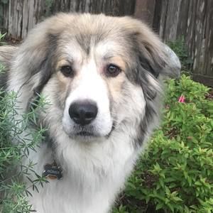 Meet your Posher, Wendy